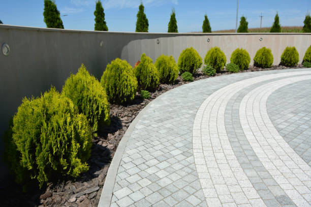 Best Driveway Paving Contractor  in Branford Center, CT